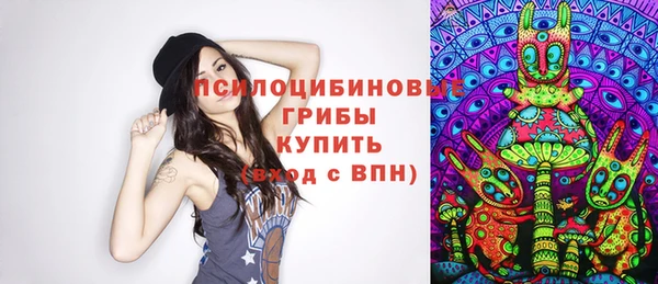 шишки Алексин