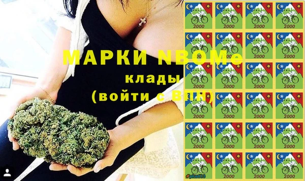 шишки Алексин